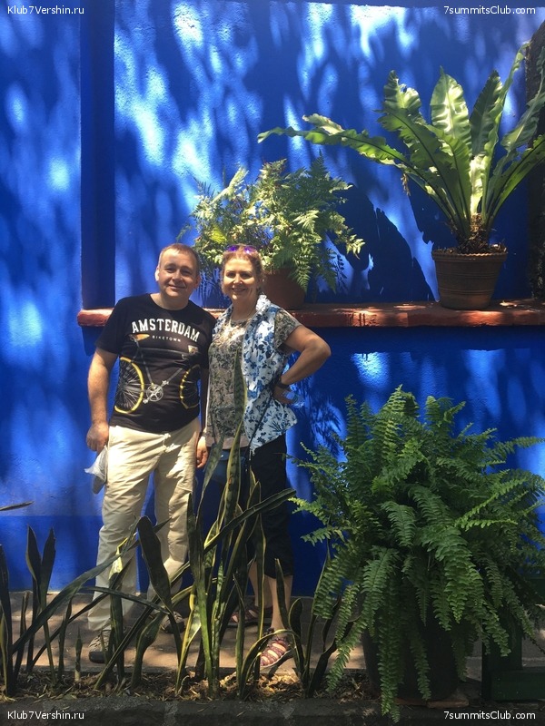 ������� 2018. ���������� ������� ��������, photo 155