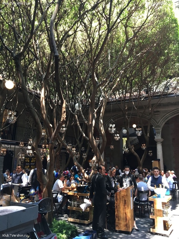 ������� 2018. ���������� ������� ��������, photo 156