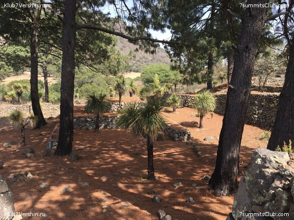 ������� 2018. ���������� ������� ��������, photo 37