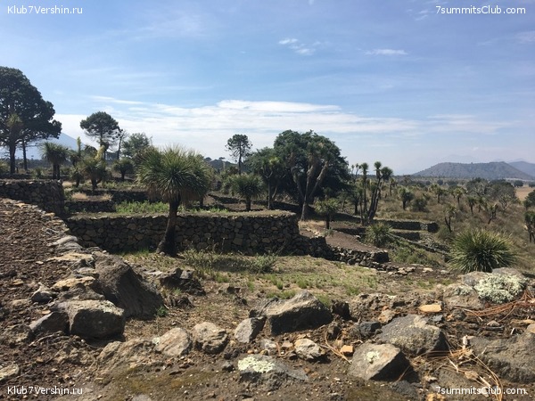 ������� 2018. ���������� ������� ��������, photo 39