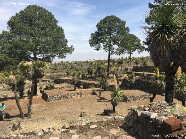 ������� 2018. ���������� ������� ��������, photo 45