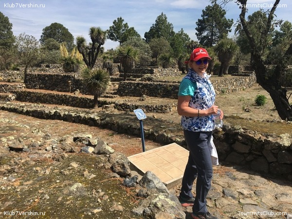 ������� 2018. ���������� ������� ��������, photo 46