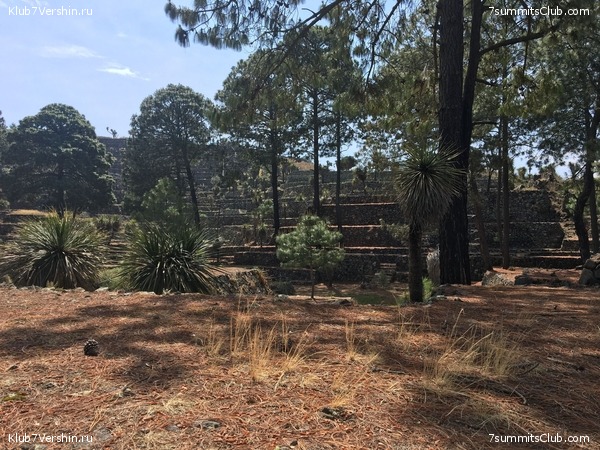 ������� 2018. ���������� ������� ��������, photo 47