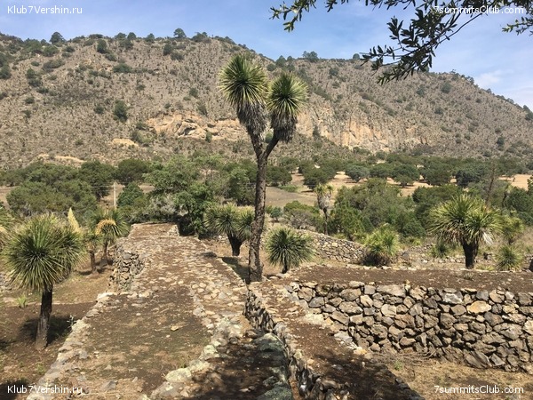 ������� 2018. ���������� ������� ��������, photo 50