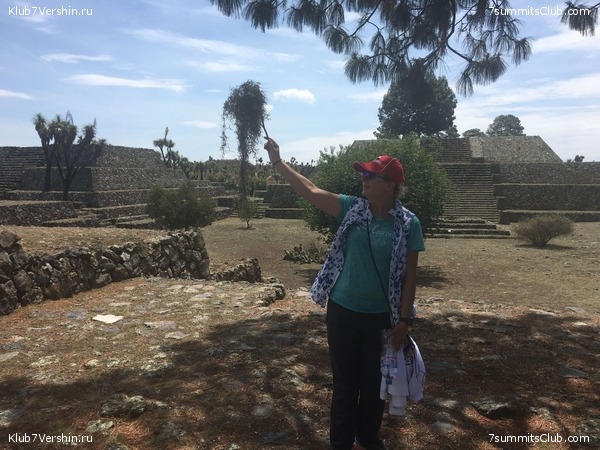 ������� 2018. ���������� ������� ��������, photo 65