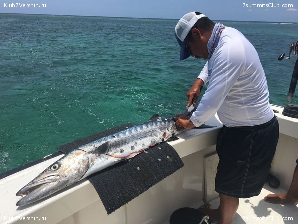 ������� 2018. ���������� ������� ��������, photo 104