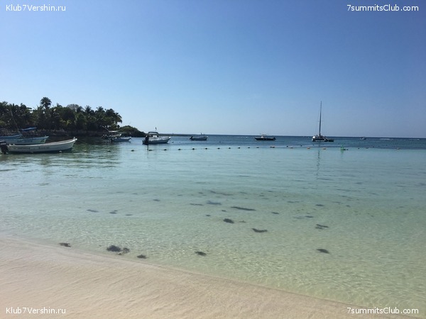 ������� 2018. ���������� ������� ��������, photo 105