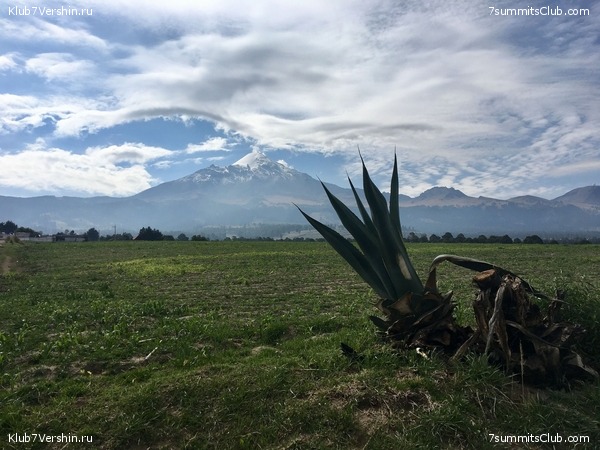 ������� 2018. ���������� ������� ��������, photo 121