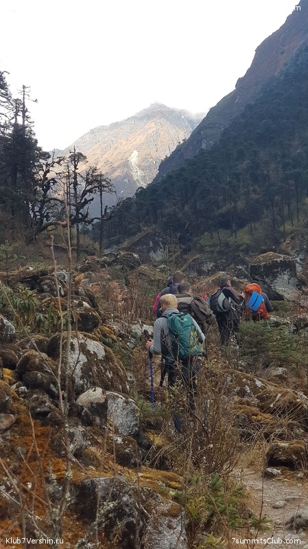 ���� ���. �����  2018, photo 121