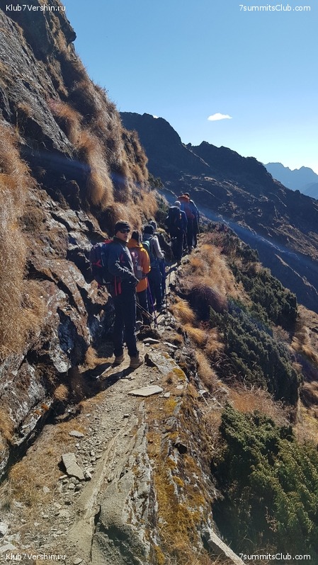 ���� ���. �����  2018, photo 126