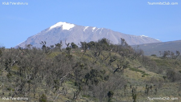 Kilimanjaro. August 2010, photo 41