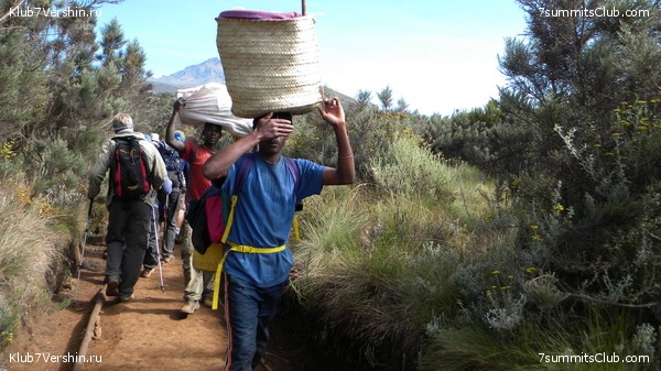 Kilimanjaro. August 2010, photo 23
