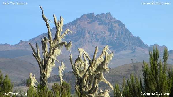 Kilimanjaro. August 2010, photo 27