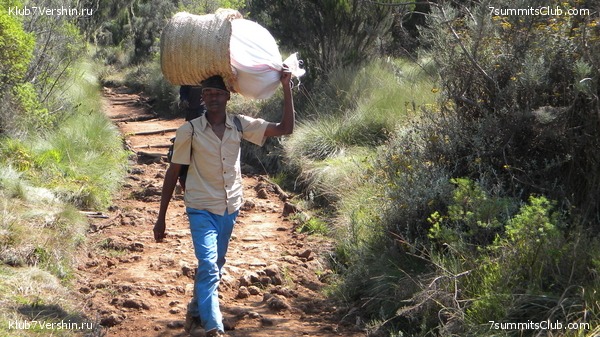 Kilimanjaro. August 2010, photo 32