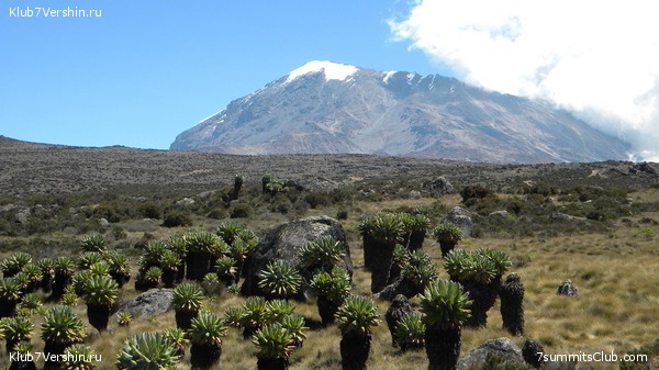 Kilimanjaro. August 2010, photo 34