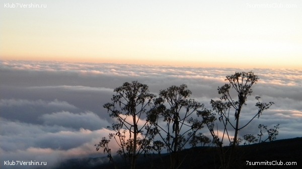 Kilimanjaro. August 2010, photo 39
