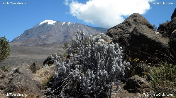 Kilimanjaro. August 2010, photo 40
