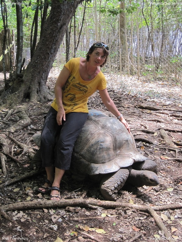 Kilimanjaro. Machame route. November 2010, photo 93