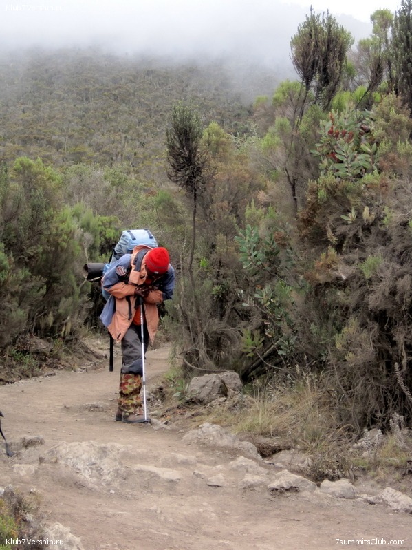 Kilimanjaro. Machame route. November 2010, photo 95