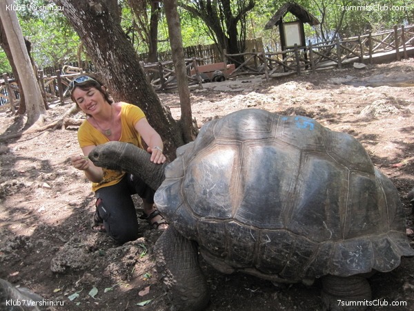Kilimanjaro. Machame route. November 2010, photo 24