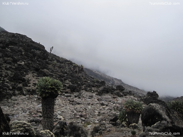 Kilimanjaro. Machame route. November 2010, photo 33