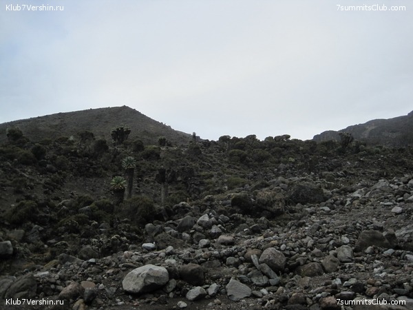 Kilimanjaro. Machame route. November 2010, photo 34