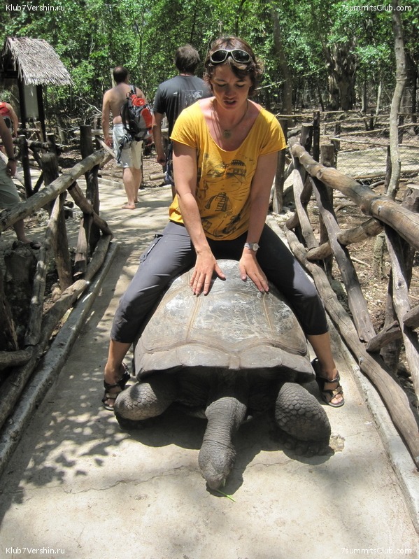 Kilimanjaro. Machame route. November 2010, photo 97