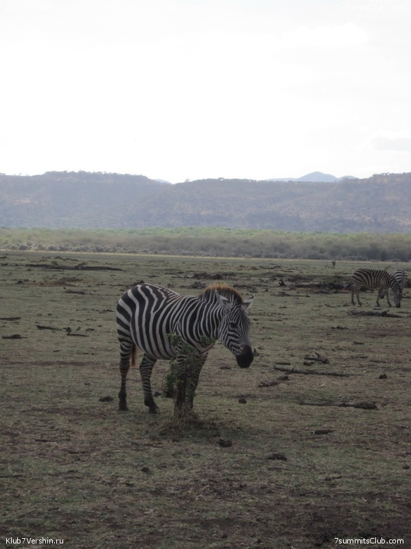 Kilimanjaro. Machame route. November 2010, photo 98
