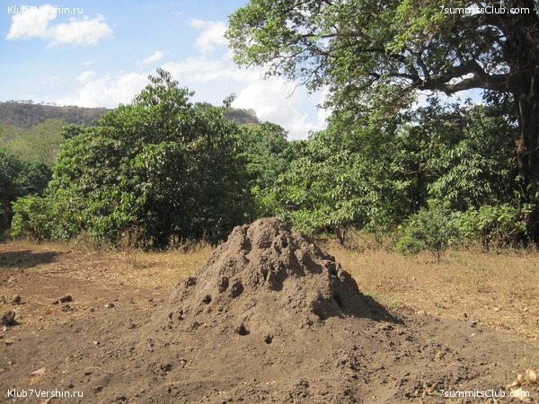 Kilimanjaro. Machame route. November 2010, photo 67