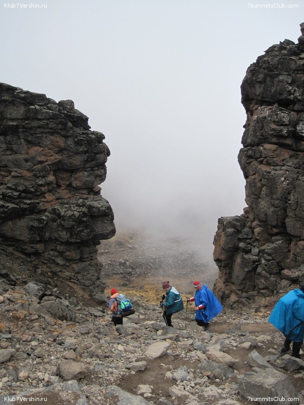 Kilimanjaro. Machame route. November 2010, photo 110