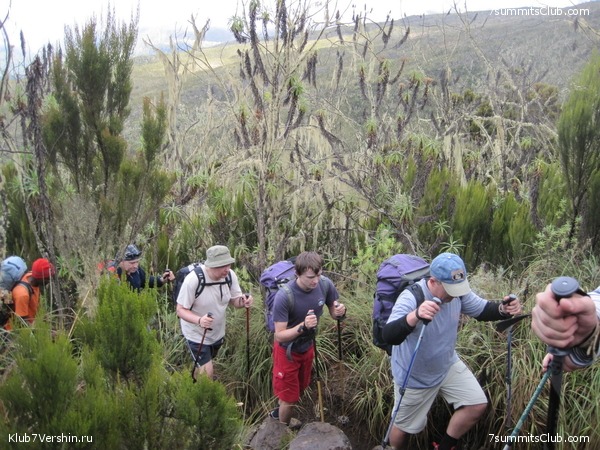Kilimanjaro. Machame route. November 2010, photo 76