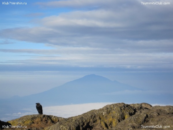 Kilimanjaro. Machame route. November 2010, photo 77