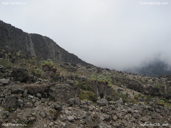 Kilimanjaro. Machame route. November 2010, photo 78