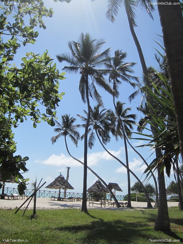 Kilimanjaro. Machame route. November 2010, photo 116