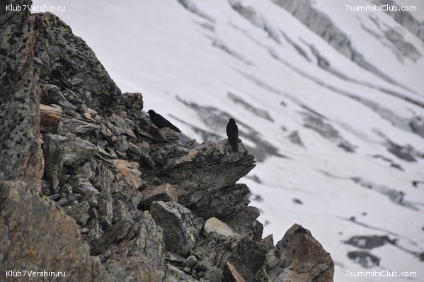 Mont Blanc 2010, photo 20
