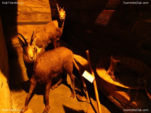 Matterhorn 2010, photo 9