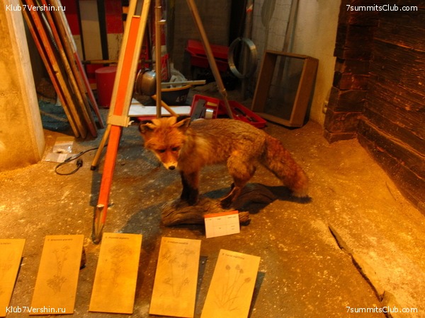 Matterhorn 2010, photo 22