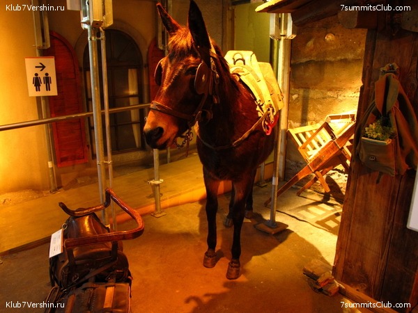 Matterhorn 2010, photo 39