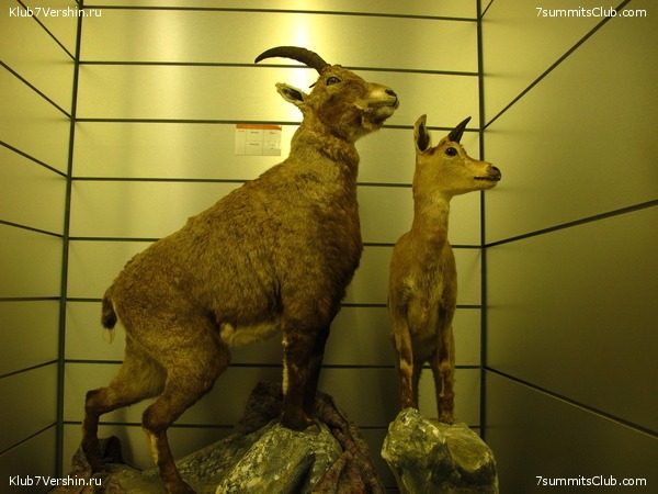 Matterhorn 2010, photo 44