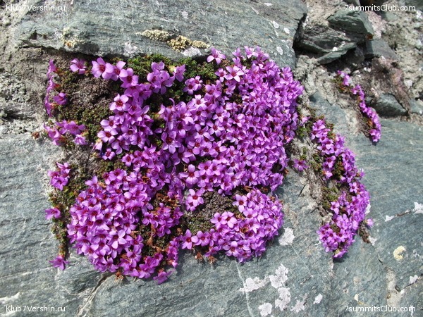 Matterhorn 2010, photo 81