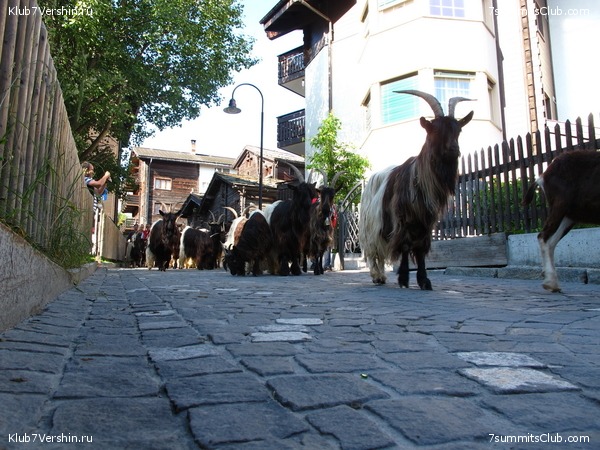 Matterhorn 2010, photo 93