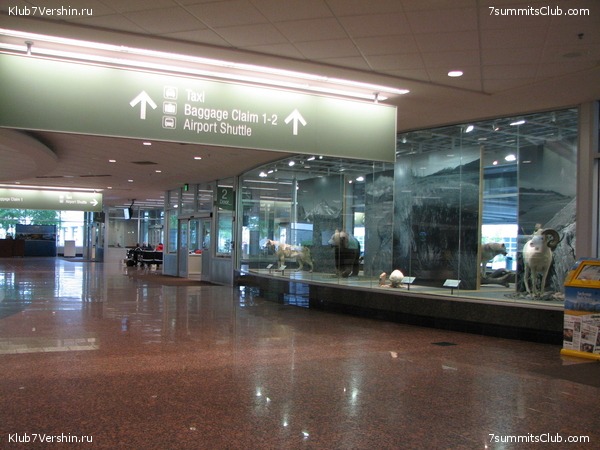 Mac-Kinley. From Alexei Bokov, photo 172