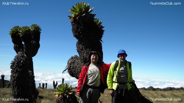 Kilimanjaro. August 2010, photo 3
