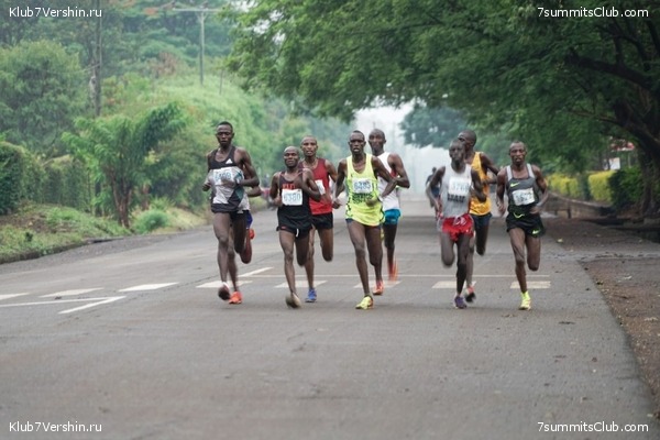 Kilimanjaro. Summary, photo 142