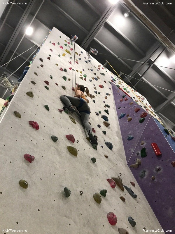 ���������� ������ ����� 2018 - 2019, photo 98