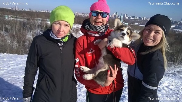 ���������� ������ ����� 2018 - 2019, photo 2