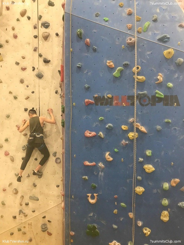 ���������� ������ ����� 2018 - 2019, photo 104