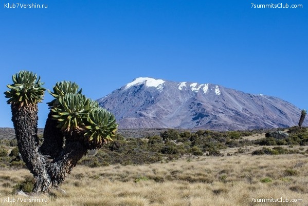 Kilimanjaro. Summary, photo 157