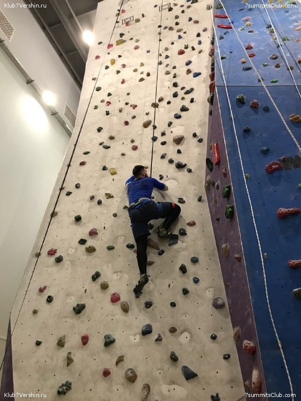 ���������� ������ ����� 2018 - 2019, photo 109