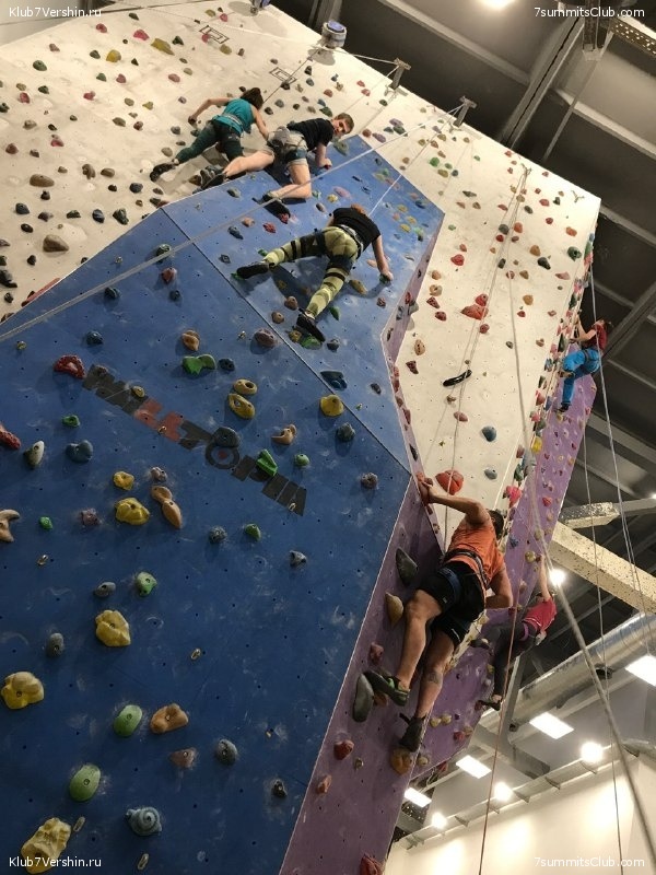 ���������� ������ ����� 2018 - 2019, photo 110